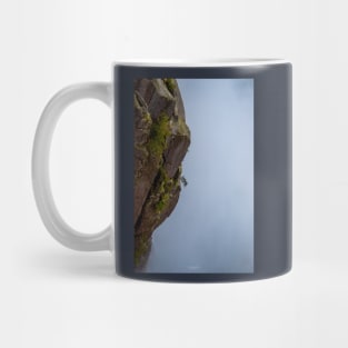 Mt Buffalo Gorge, Mt Buffalo, Victoria, Australia Mug